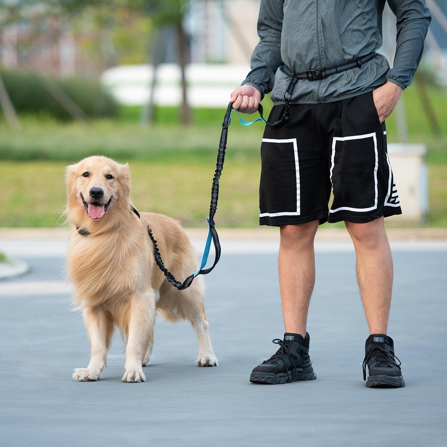 Walk Free™ Hands-Free Dog Leash with Zipper Pouch