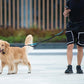 Walk Free™ Hands-Free Dog Leash with Zipper Pouch