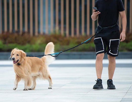 Walk Free™ Hands-Free Dog Leash with Zipper Pouch
